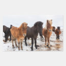 Pesquisar por colt adesivos Rebanho