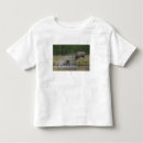 Pesquisar por alces do touro camisetas Wyoming