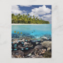 Pesquisar por multicolorido cartoes postais Natureza