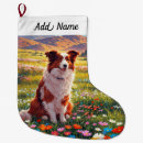 Pesquisar por border collie meias de natal Animais de estimação