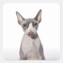 Pesquisar por sphynx adesivos Natureza