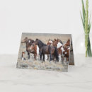 Pesquisar por égua e potro cartoes Éguas e potros