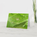 Pesquisar por aracnídeos cartoes Animais