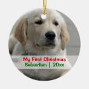Pesquisar por dog ornamentos First christmas