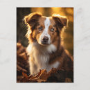 Pesquisar por gorgeous cartoes postais Conteúdo genérico