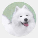 Pesquisar por samoyed adesivos Cão