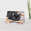 Pesquisar por tristeza cartoes Divórcio