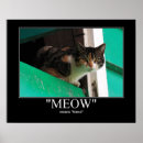 Pesquisar por housecat Gato