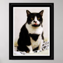 Pesquisar por gato mal humorado pôsteres Felino