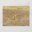 Pesquisar por doce vida cartoes postais Fofofo