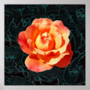 Pesquisar por fundo vermelho claro pôsteres Laranja