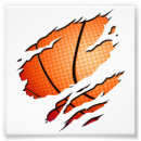 Pesquisar por basketball fotografia Nba