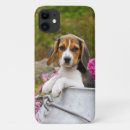 Pesquisar por beagle iphone capas Animais