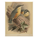 Pesquisar por ilustrações pósteres pôsteres Natureza