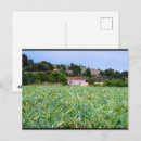 Pesquisar por alcachofras cartoes postais Natureza