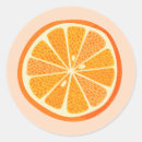 Pesquisar por clementina artesanato material Laranja