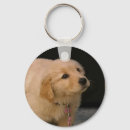 Pesquisar por golden retriever chaveiros Filhote de cachorro