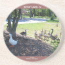 Pesquisar por pato porta copos Foto