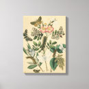 Pesquisar por artes palco de impressão de canvas Palcos