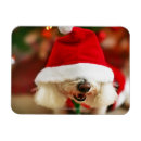 Pesquisar por frise do bichon cartoes Animal