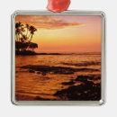 Pesquisar por hawaii ornamentos Ilha grande