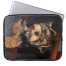 Pesquisar por filhote cachorro yorkshire terrier eletronicos Bonito