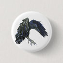 Pesquisar por corvo botons Animal