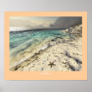 Pesquisar por flotsam Praia