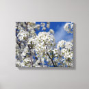 Pesquisar por bloom impressão de canvas Árvore