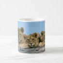 Pesquisar por cubos canecas Animais