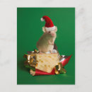 Pesquisar por queijo natal cartoes Rato