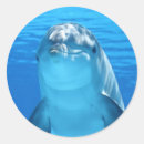 Pesquisar por golfinho adesivos Feliz