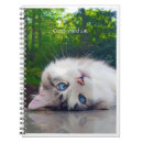 Pesquisar por olhos gato de cadernos de notas Humor