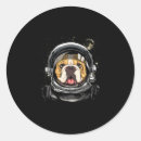 Pesquisar por mastiff inglês adesivos Laboratório amarelo