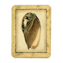 Pesquisar por submarino imas Casca