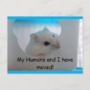 Pesquisar por do hamster e cartoes postais Fofofo
