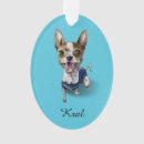 Pesquisar por customizável ornamentos Animais de estimação