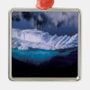 Pesquisar por paradise ornamentos Oceano