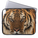 Pesquisar por tigre capas Olhos