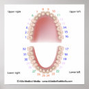 Pesquisar por odontologia pôsteres Cuidados dentários