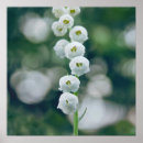 Pesquisar por quadrados brancos pósteres pôsteres Sonho