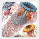 Pesquisar por animais marinhos adesivos Animais do oceano