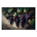 Pesquisar por fruta roxa pósteres pôsteres Vinha