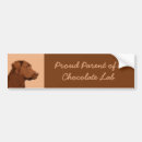 Pesquisar por chocolate labrador Fofo