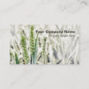 Pesquisar por trigo cartao de visita Fazendeiro