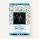 Pesquisar por do cão crachás For pets