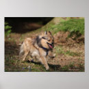 Pesquisar por chicote de fios pósteres pôsteres Cão