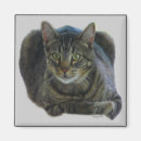 Pesquisar por puro imas Gato