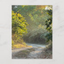 Pesquisar por pista no outono cartoes postais Natureza