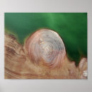 Pesquisar por abstrato fotografia For her